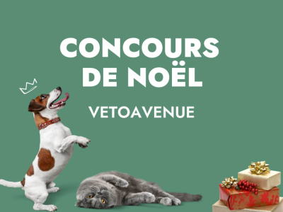 concours-de-noel